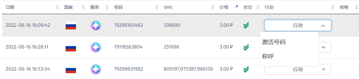 SMS Activate 接码平台使用指南 - 9 REACTIVATION cn