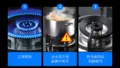 flameout protection