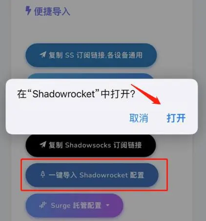 Shadowrocket🚀小火箭快速指南(下载安装及配置使用教程) - 9 import subscrbe