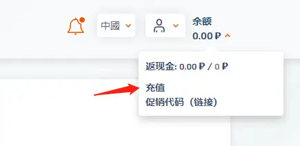 SMS Activate 接码平台使用指南 - 5 sms top up