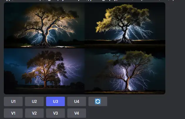 Midjourney AI 绘画新手教程 - 13 adjust image