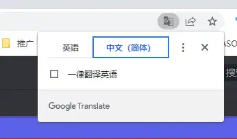如何开启Chrome浏览器自动翻译功能 - 4 chrome google translate