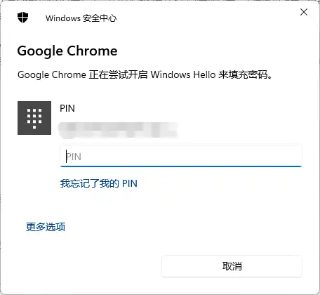 解决Chrome自动填充密码的时候要输入Windows密码 - 2 chrome password autofill needs pin