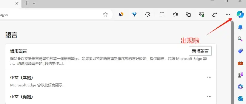 Edge浏览器侧边栏无法显示Copilot图标 - 6 edge copilot show