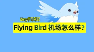 flyingbird review