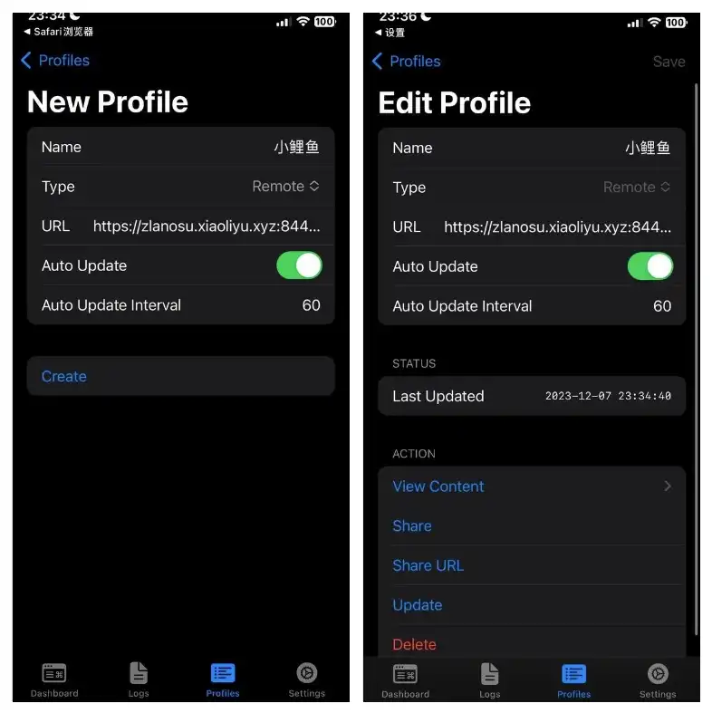 Sing-box 新手使用教程 - 7 edit profile