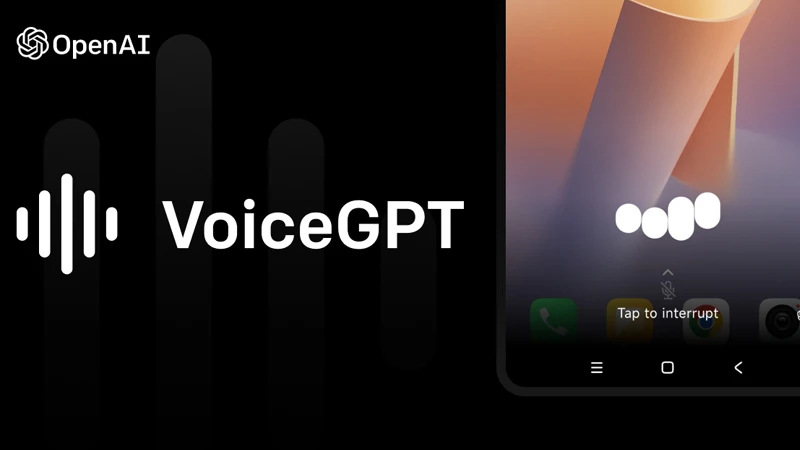 voice