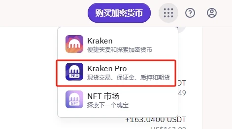 Kraken 海妖入金、交易以及出金法币教程 - 6 kraken pro menu