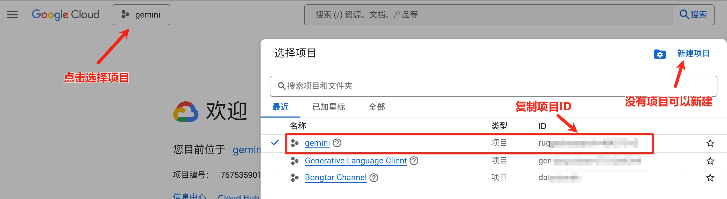 Gemini CLI 无法登录 1 choose google cloud project